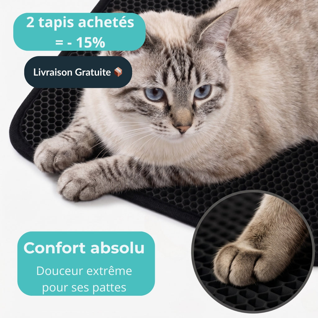 Tapis Litière Anti-Grain
